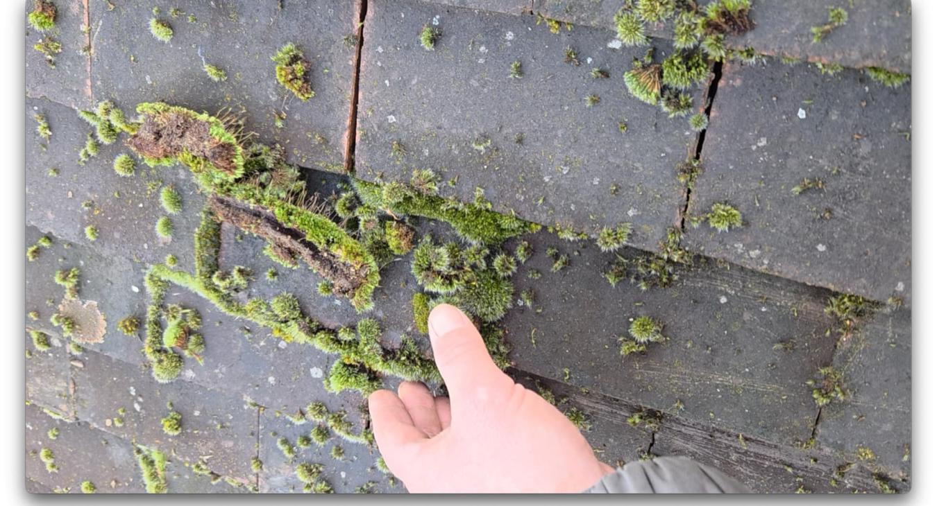 Démoussage de toiture & Traitement hydrofuge