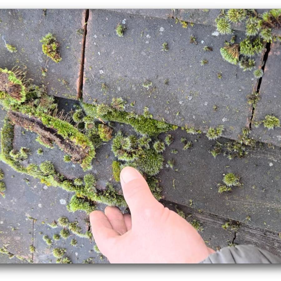 Démoussage de toiture & Traitement hydrofuge